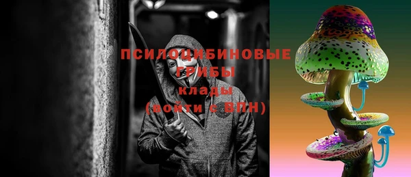 дживик Баксан